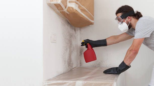 Professional Attic Mold Remediation technician working in North Fort Myers, FL